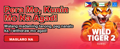 Bingo Plus secure deposit interface